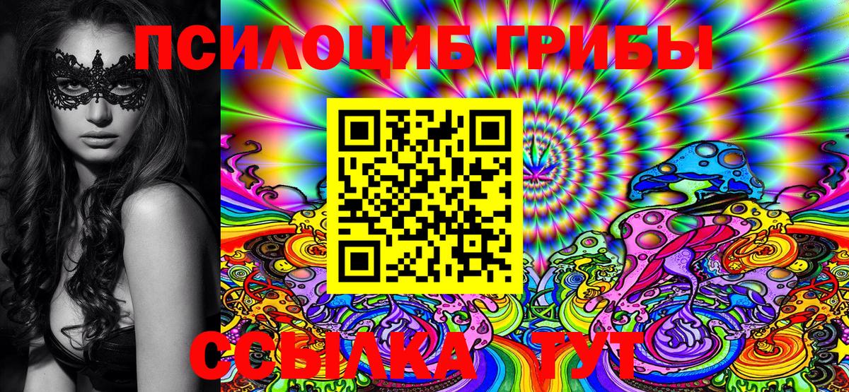 Псилоцибиновые грибы Cubensis  Псилоцибиновые грибы мицелий  Вход с VPN  Красноярск 