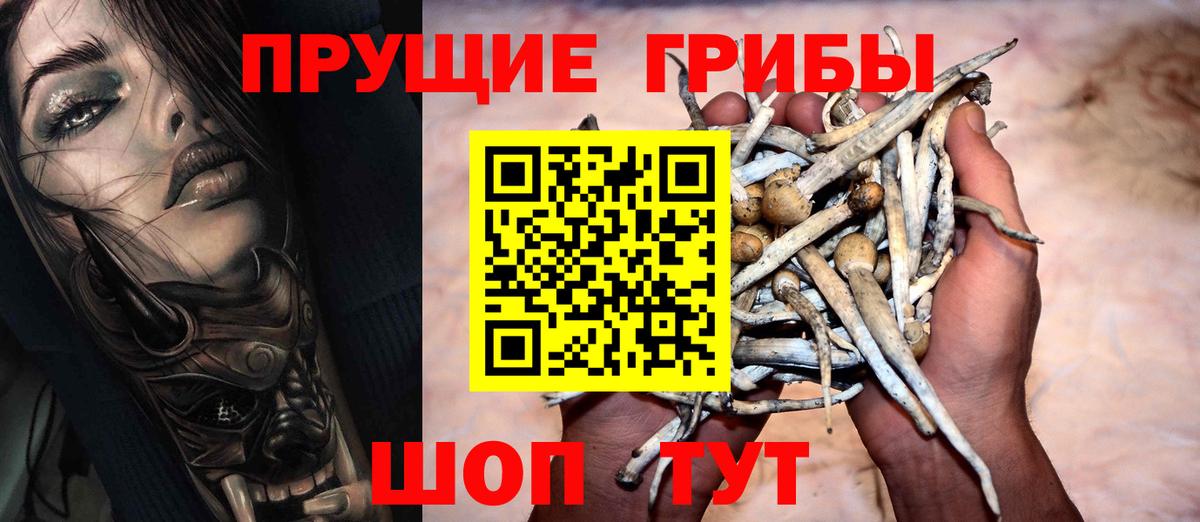 Псилоцибиновые грибы прущие грибы Красноярск